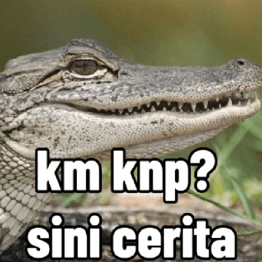 Meme 12