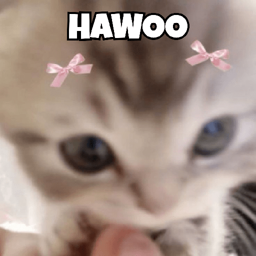 Kucing lagwy