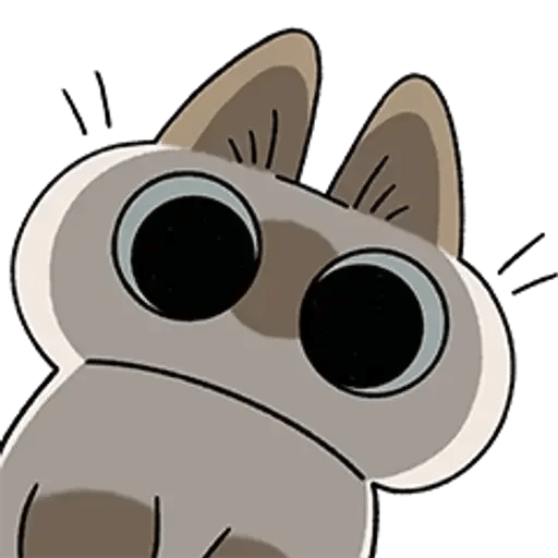 🐾 Siamese Cat ฅ(•- •マ
