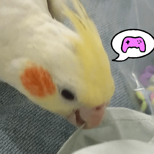 Burung lucu 5
