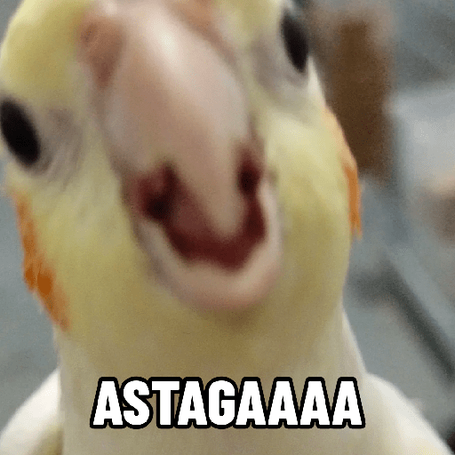 Burung lucu 9
