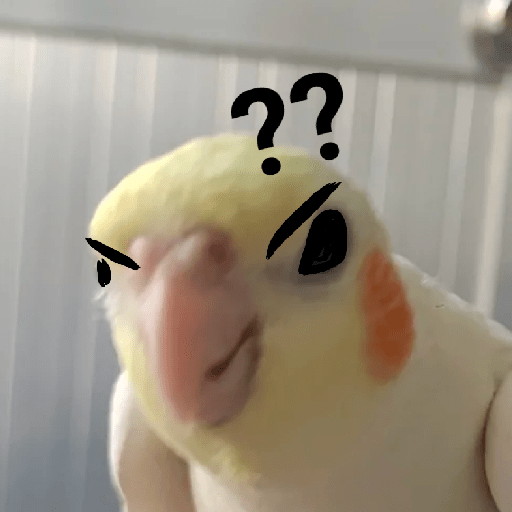 Burung lucu 8