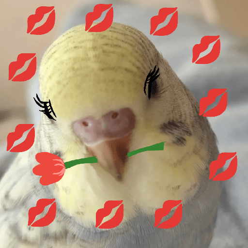 Burung lucu 13