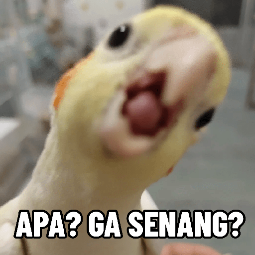 Burung lucu 1