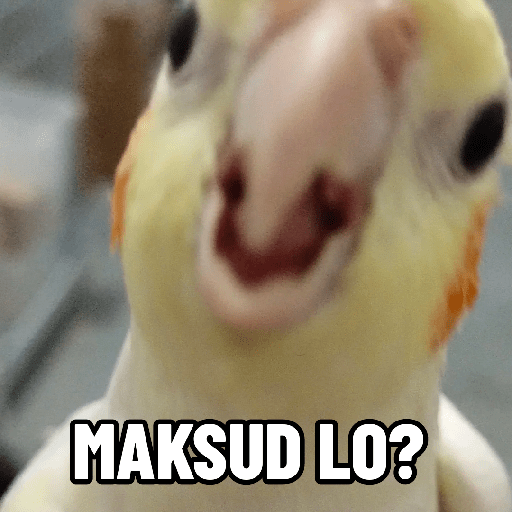 Burung lucu 2