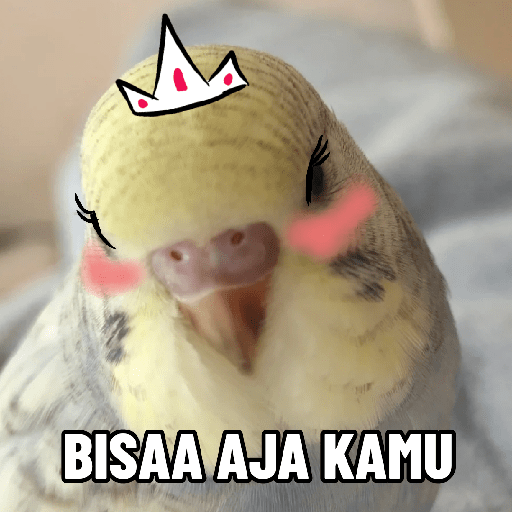 Burung lucu 3