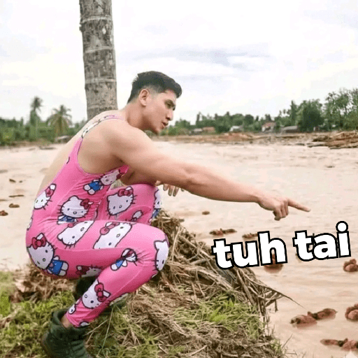 Verrel meme 5