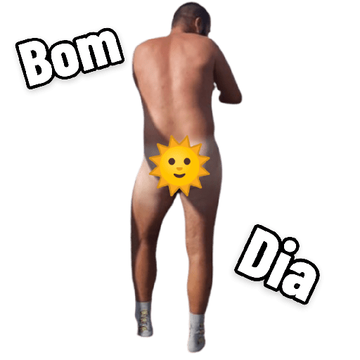 Academia 12