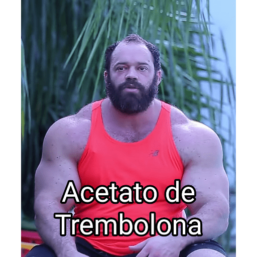 Academia 2