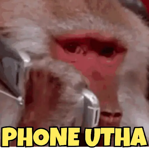 Animated Memes 7