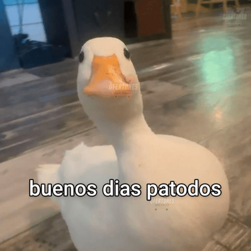 Frases TOP✨ 22