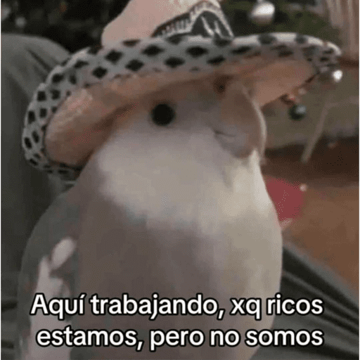 Frases TOP✨ 25