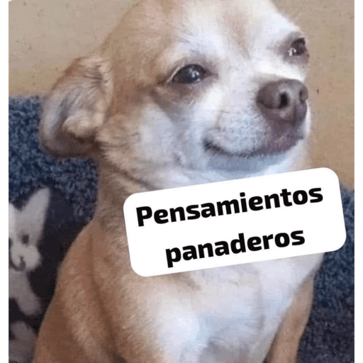Frases TOP✨ 10