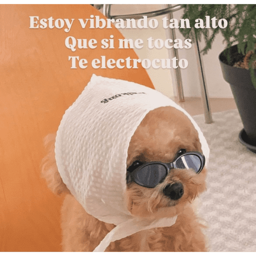 Frases TOP✨ 7