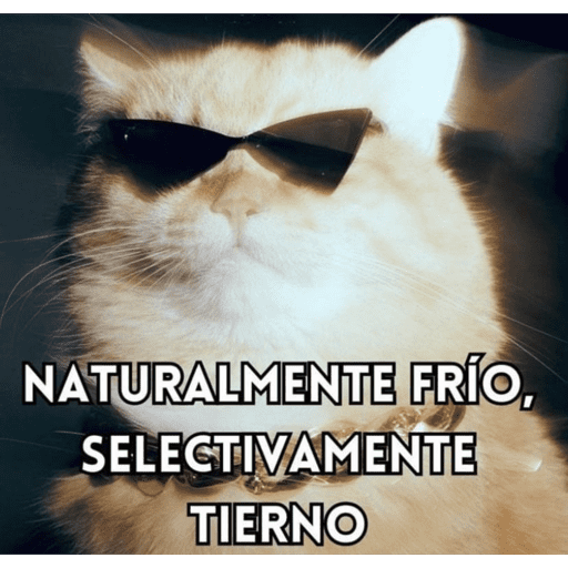 Frases TOP✨ 26