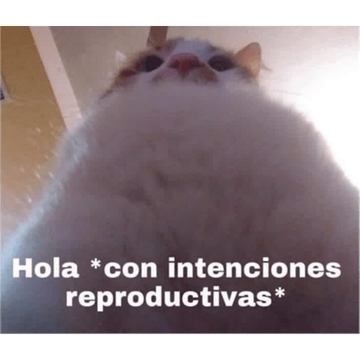 Mis pegatinas