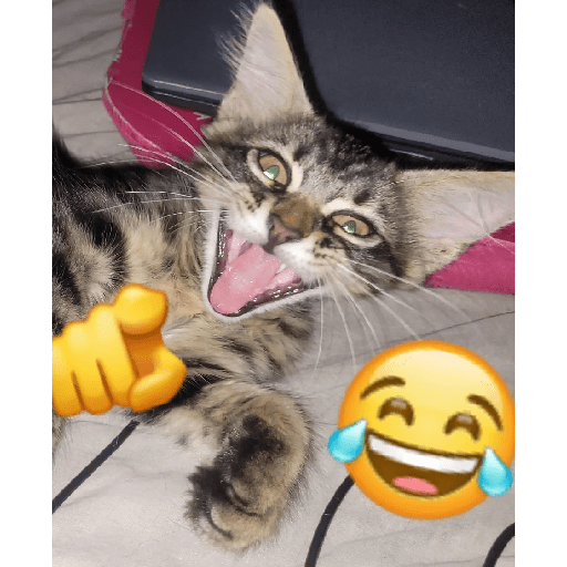 Sticker Image