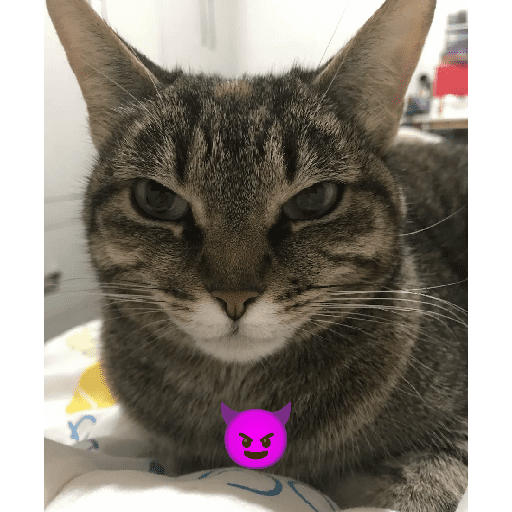 Sticker Image