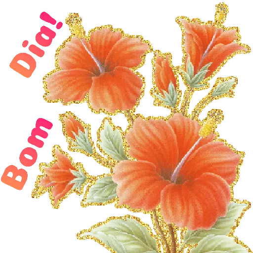 Flores 02 16