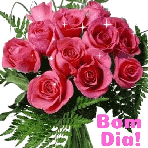 Flores 02 24