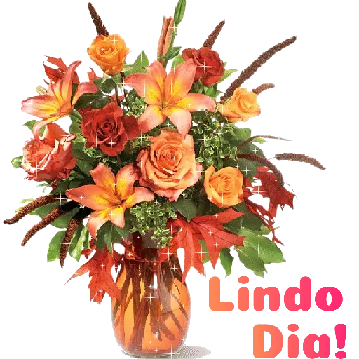 Flores 02 19