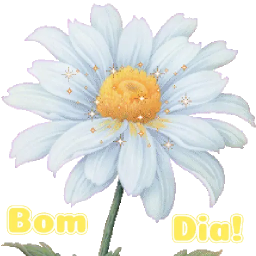 Flores 02 4