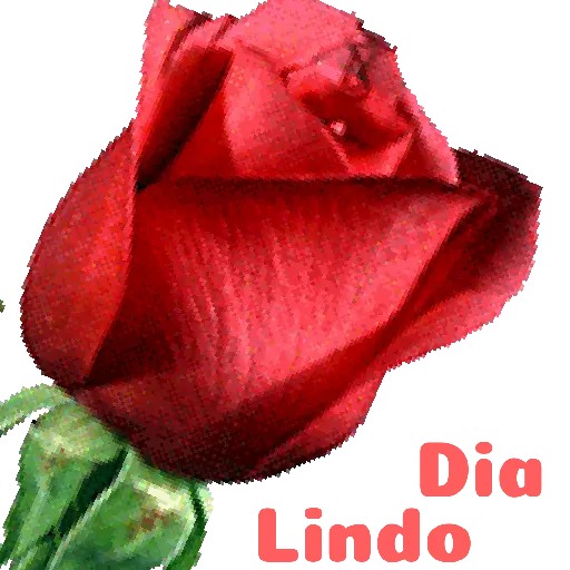 Flores 02 26