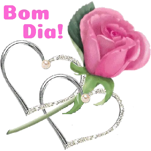 Flores 02 8