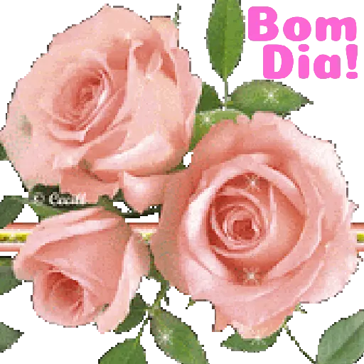 Flores 02 13