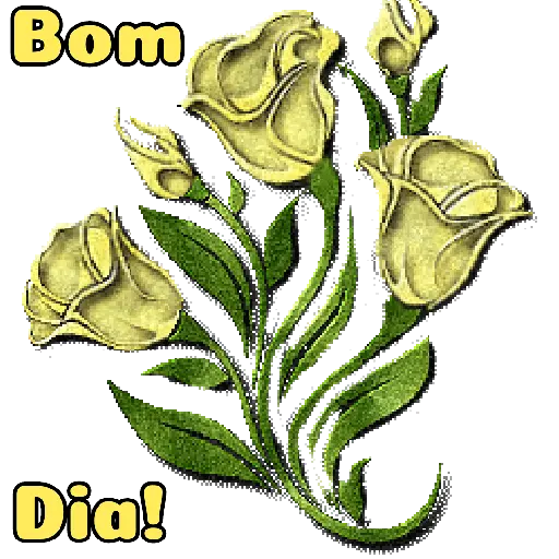 Flores 02 2