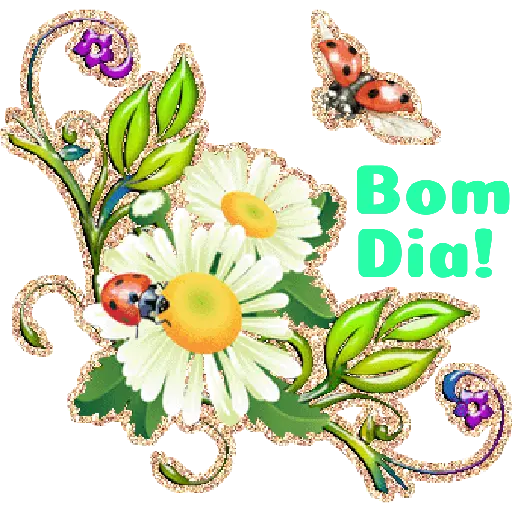 Flores 02 6