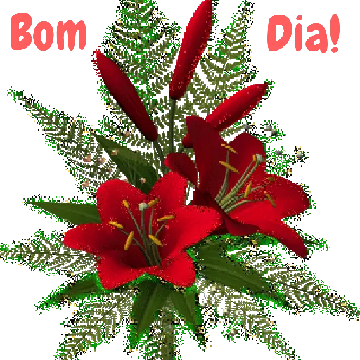 Flores 02 9