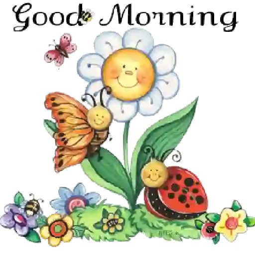 Flores 02 7