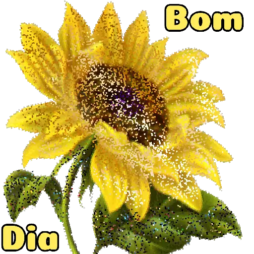 Flores 02 3