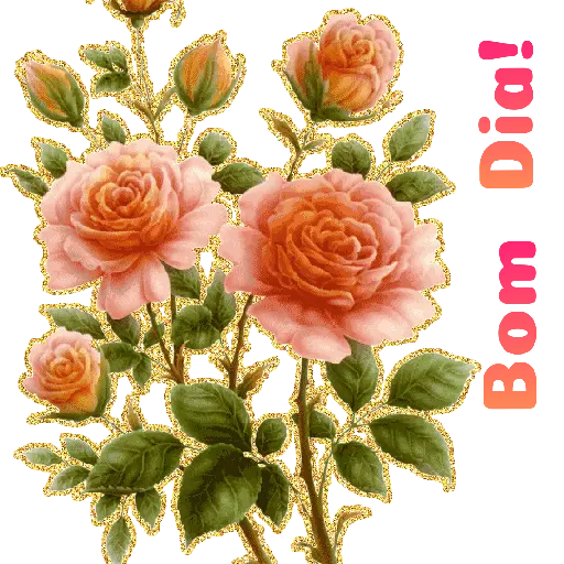 Flores 02 12