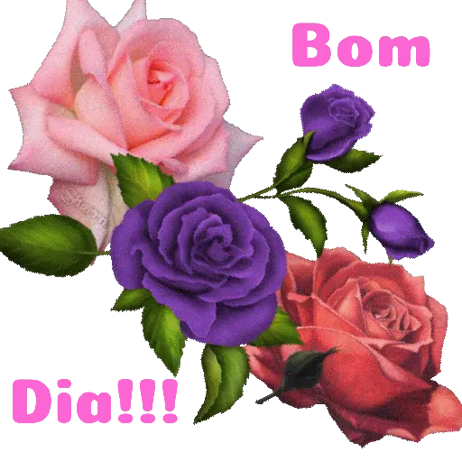 Flores 02 15