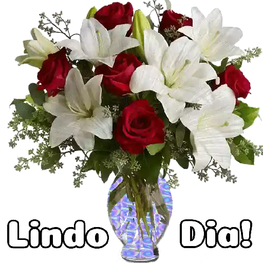 Flores 02 18