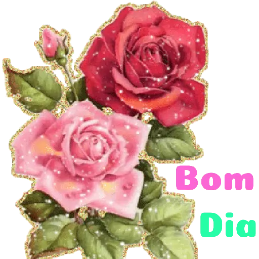 Flores 02 11