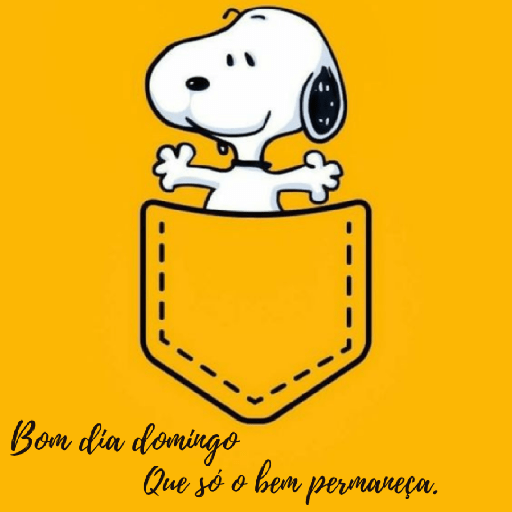 Snoopy 27