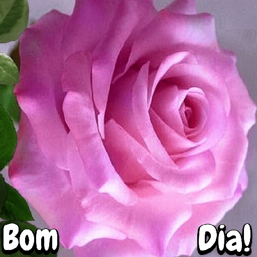Flores 9