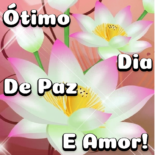 Flores 12
