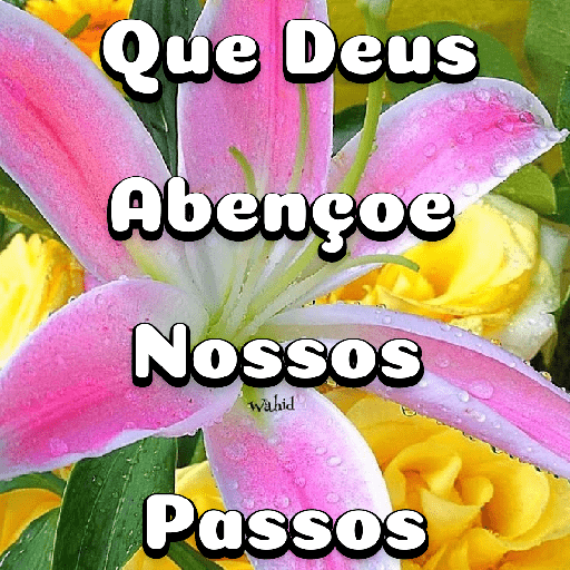 Flores 6