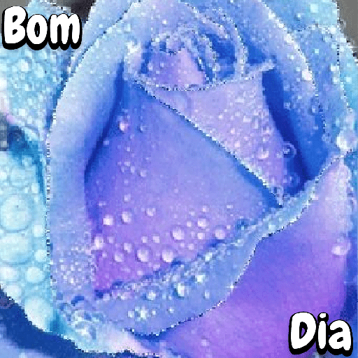 Flores 23