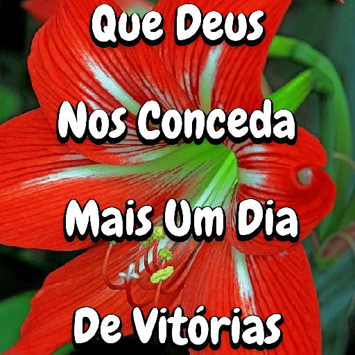 Flores 13