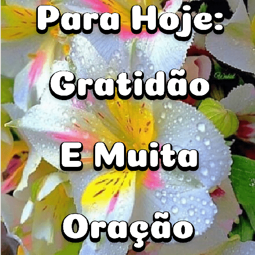 Flores 5