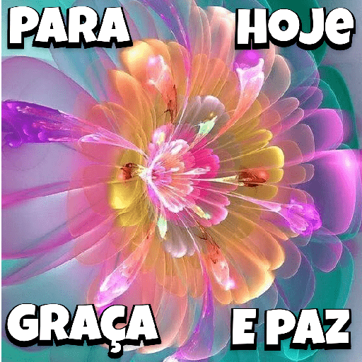 Flores 3