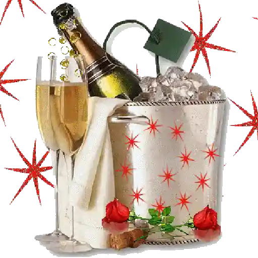 Aniversário 24