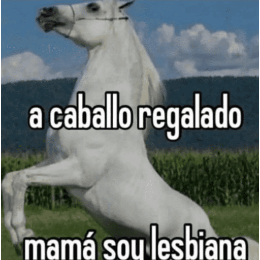 Paz PAZ paz 13