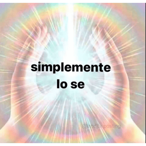 Paz PAZ paz 19