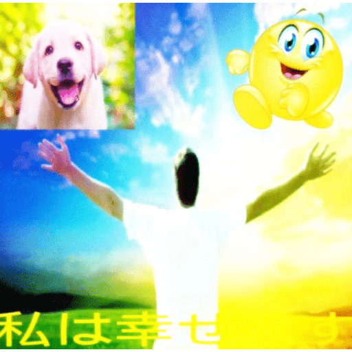 Paz PAZ paz 14